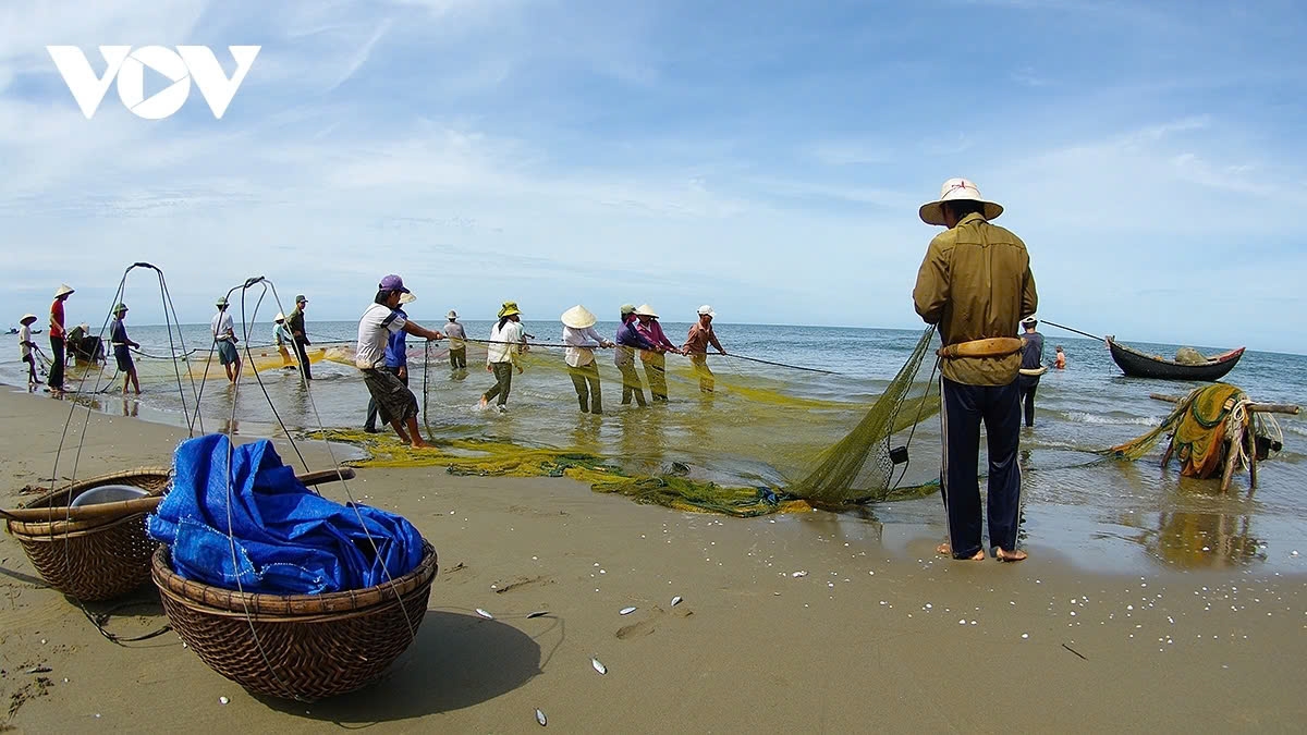 a glimpse of vibrant fishing life in central vietnam picture 5 a glimpse of vibrant fishing life in central vietnam picture 5