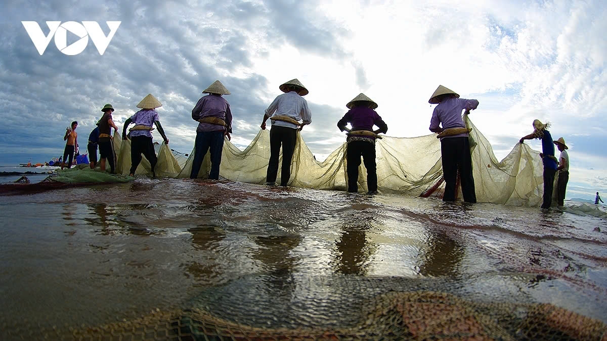 a glimpse of vibrant fishing life in central vietnam picture 8