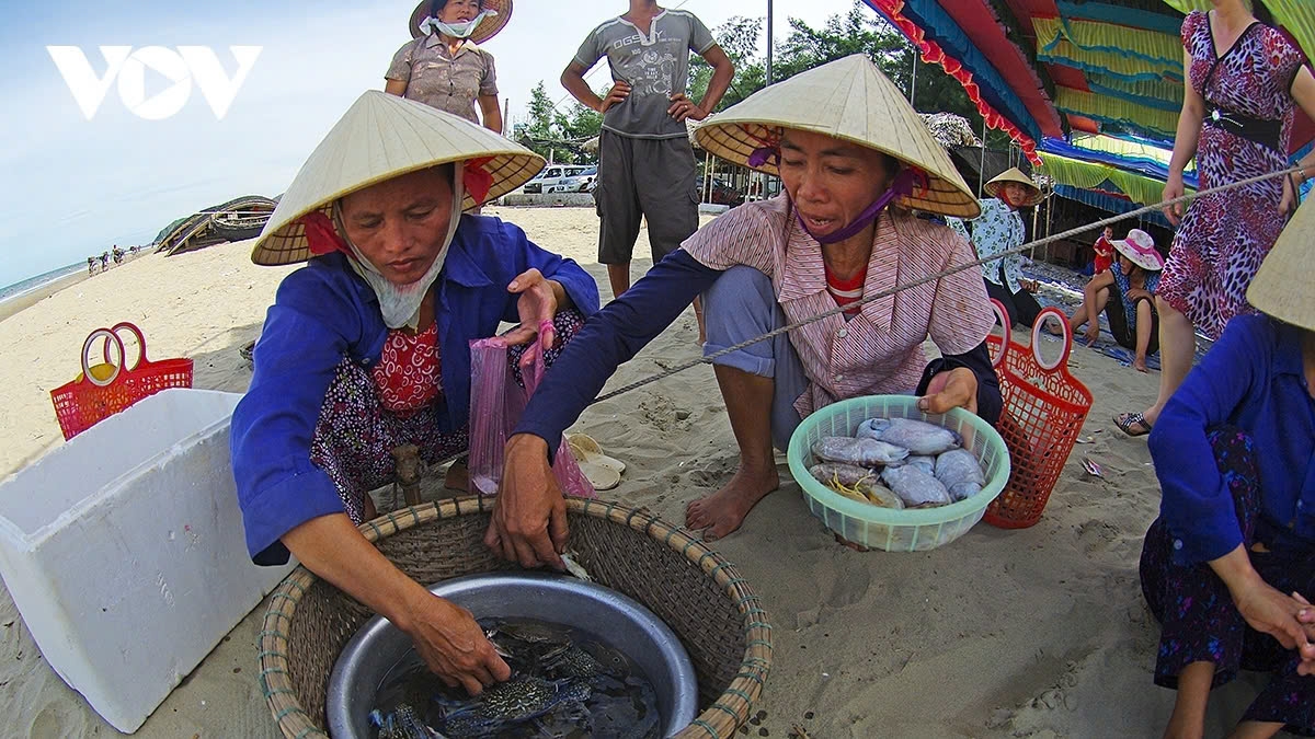 a glimpse of vibrant fishing life in central vietnam picture 13