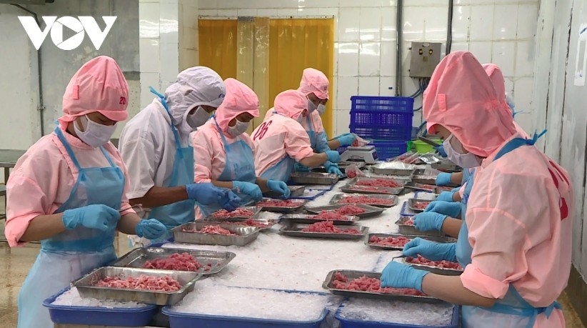 vietnamese seafood industry works to reduce market dependence picture 1