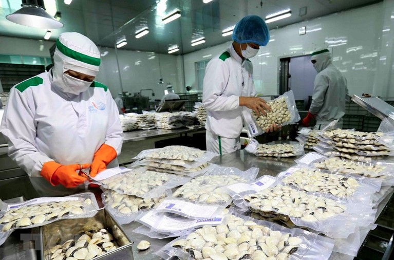 china emerges as leading importer of vietnamese shellfish picture 1