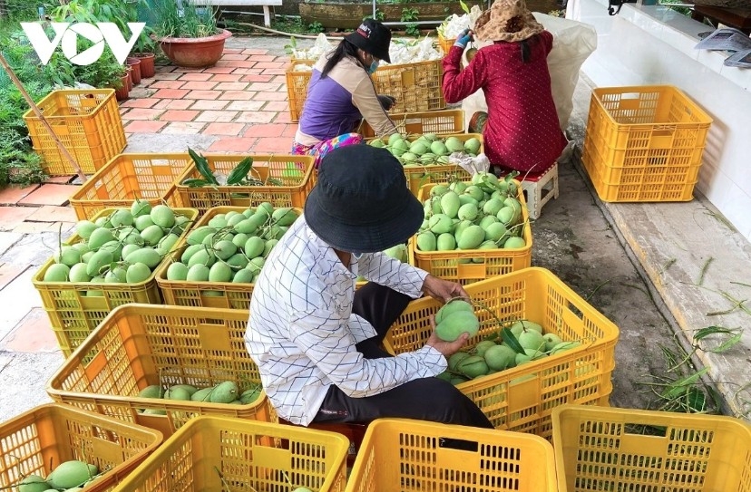four-month farm exports show steady gains picture 1 four-month farm exports show steady gains picture 1