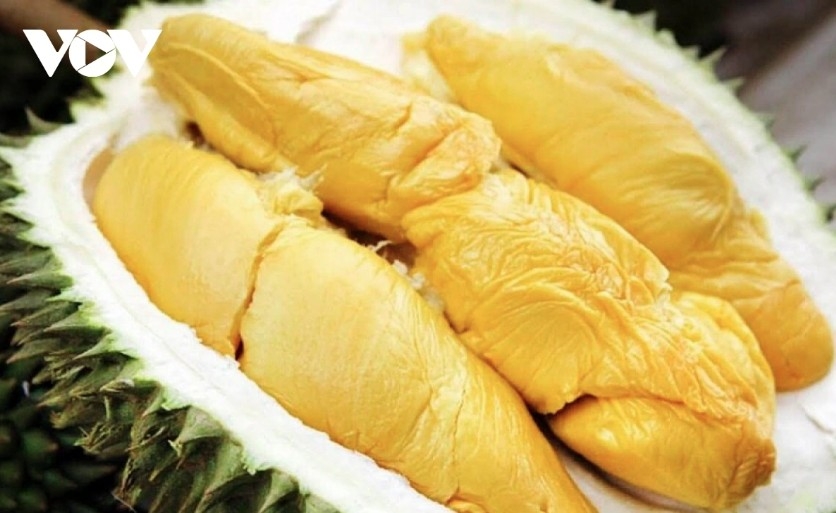 durian exports plunge as agriculture sector works to retain market share picture 1