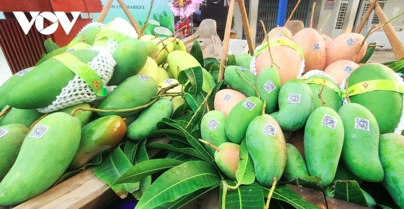 fruit and vegetable exports plunge amid china s stricter requirements picture 1 fruit and vegetable exports plunge amid china s stricter requirements picture 1
