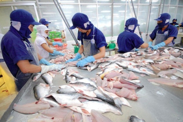 tra fish exports to brazil total us 55 million by mid-april picture 1