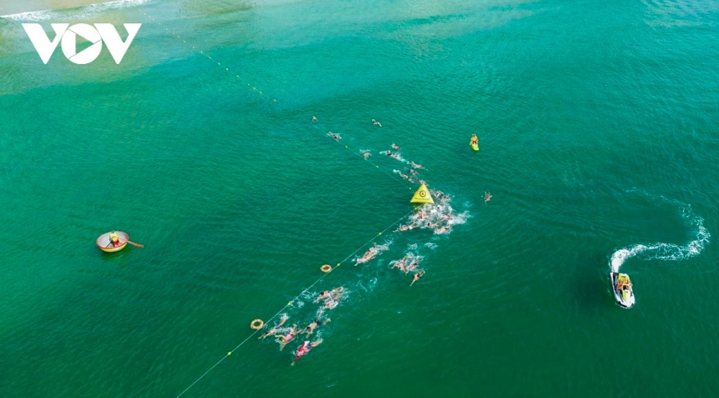 da nang promotes tourism potential to middle east market picture 1