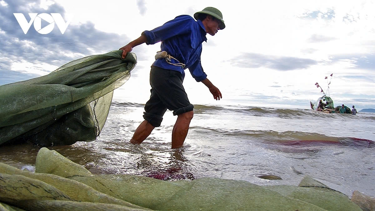 a glimpse of vibrant fishing life in central vietnam picture 10