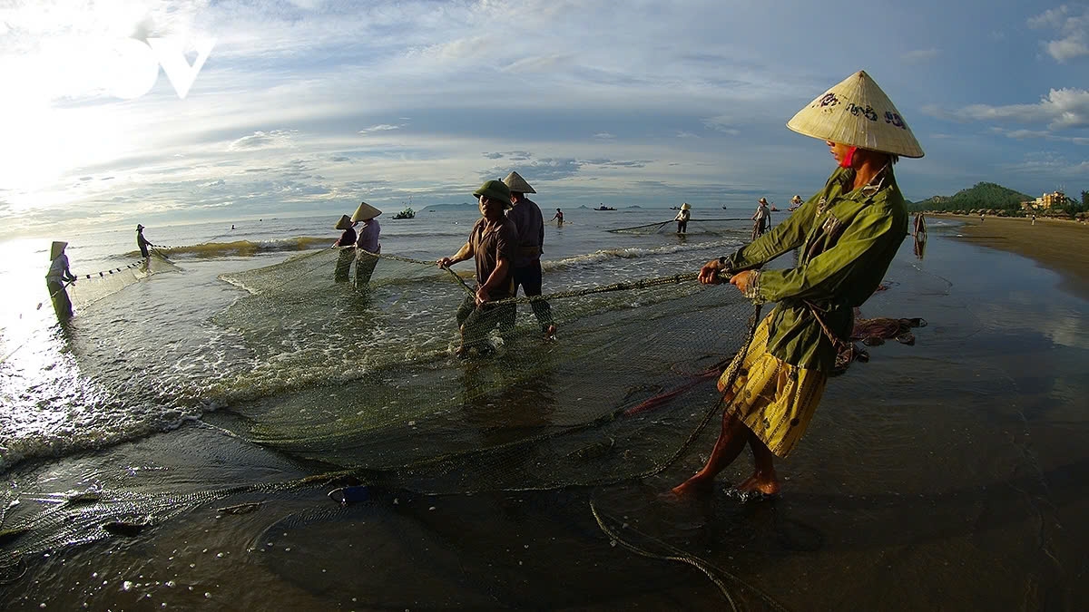 a glimpse of vibrant fishing life in central vietnam picture 7 a glimpse of vibrant fishing life in central vietnam picture 7