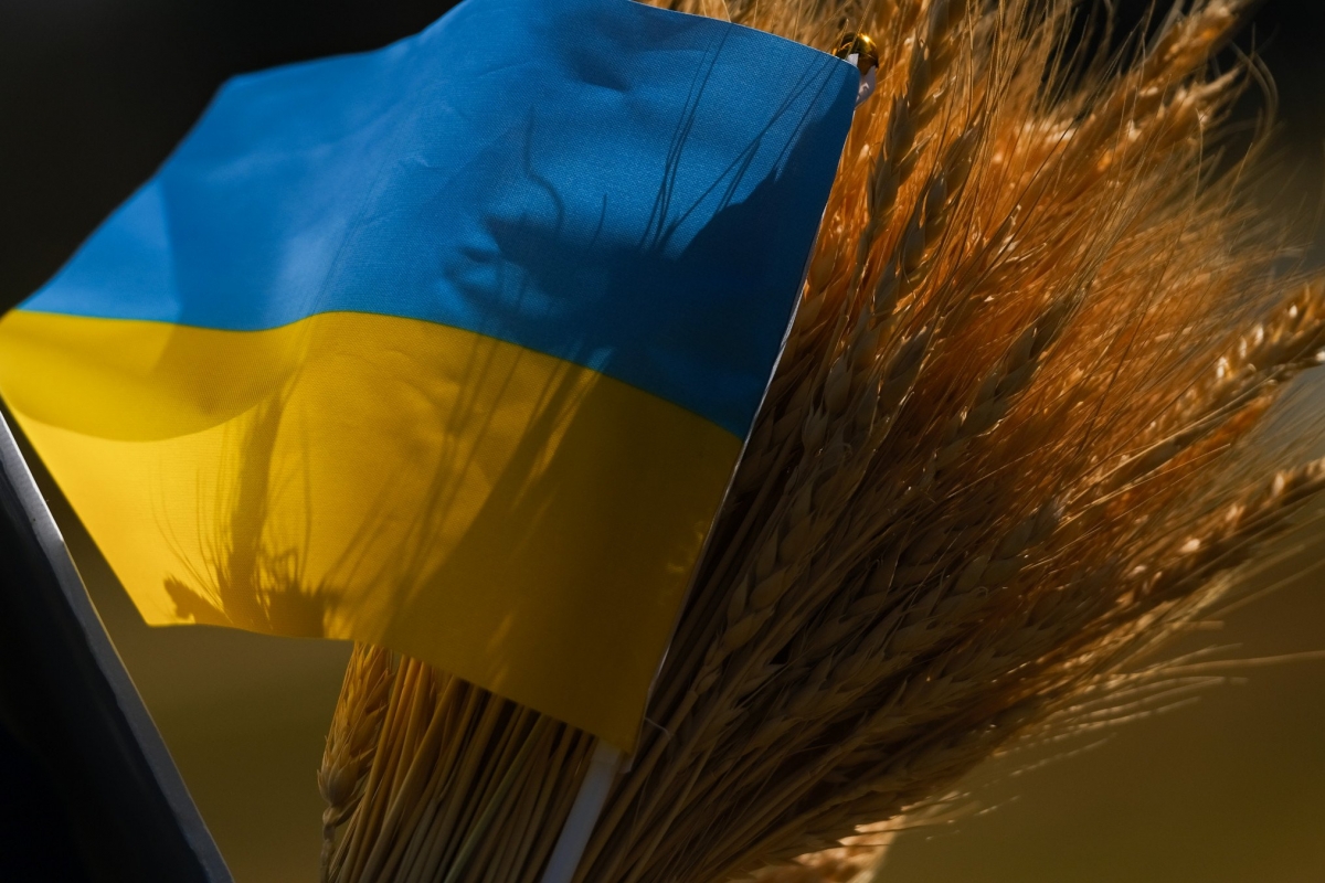 eu sẽ giảm hạn ngạch miễn thuế đối với các sản phẩm nông nghiệp của ukraine hình ảnh 1 eu se giam han ngach mien thue doi voi cac san pham nong nghiep cua ukraine hinh anh 1