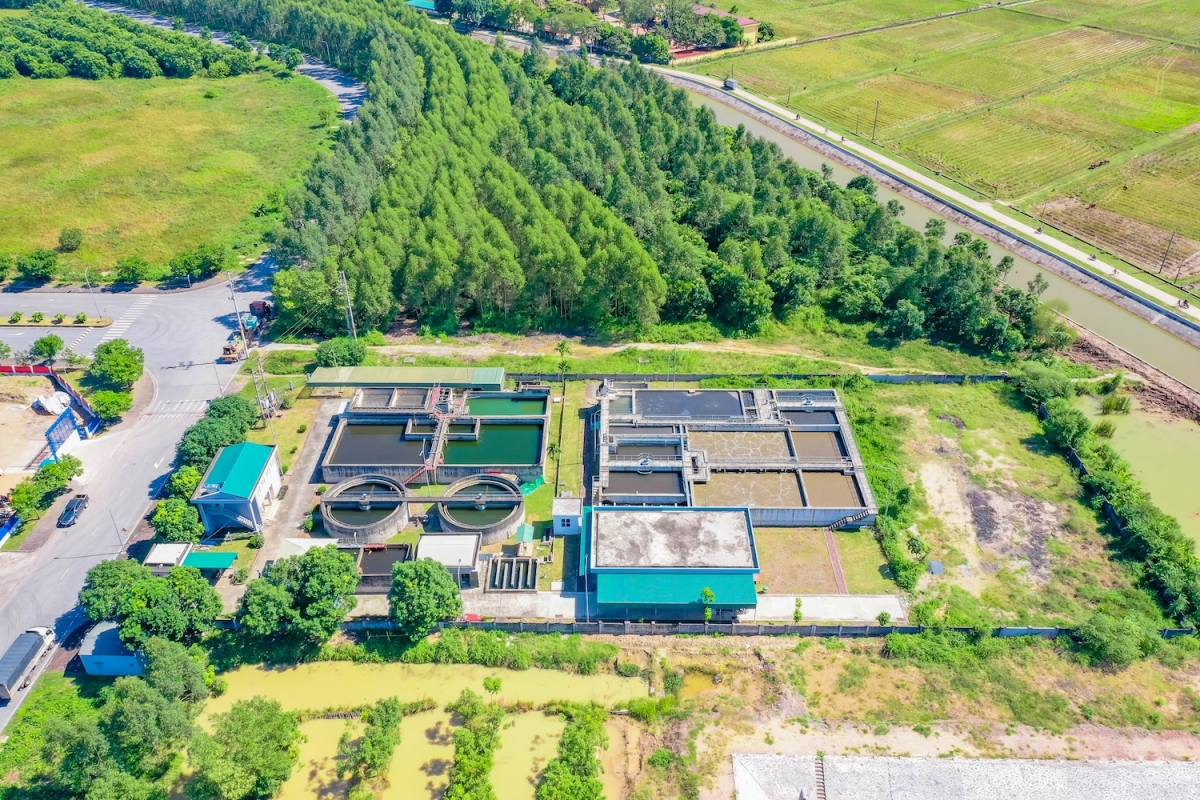 tập đoàn rox group tròn 29 tuổi hình ảnh 1 tap doan rox group tron 29 tuoi hinh anh 1