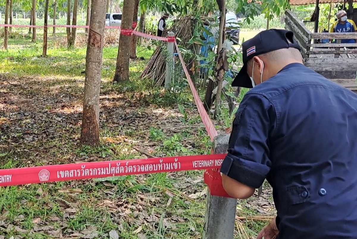 thái lan ghi nhận ca tử vong đầu tiên do bệnh than sau 30 năm hình ảnh 1 thai lan ghi nhan ca tu vong dau tien do benh than sau 30 nam hinh anh 1