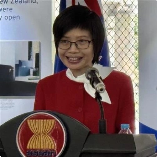 inclusivity and sustainability-asean s new strategic path vietnamese ambassador picture 1 inclusivity and sustainability-asean s new strategic path vietnamese ambassador picture 1