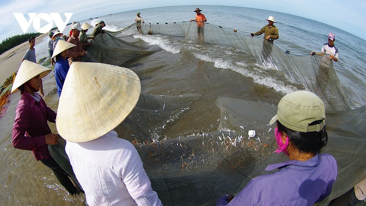 a glimpse of vibrant fishing life in central vietnam picture 9 a glimpse of vibrant fishing life in central vietnam picture 9