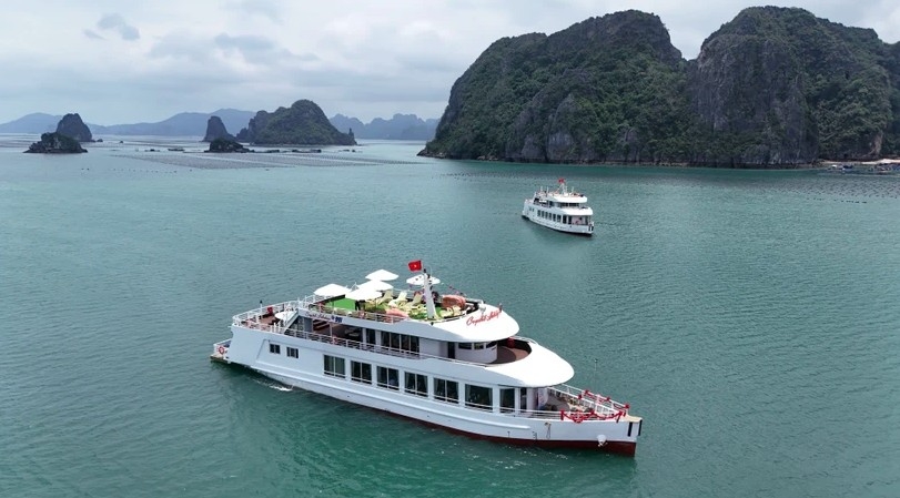 luxury cruises set sail in bai tu long bay picture 1 luxury cruises set sail in bai tu long bay picture 1