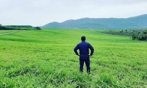 Muốn báo hiếu bố mẹ, tôi muốn đưa cả gia đình về quê ổn định