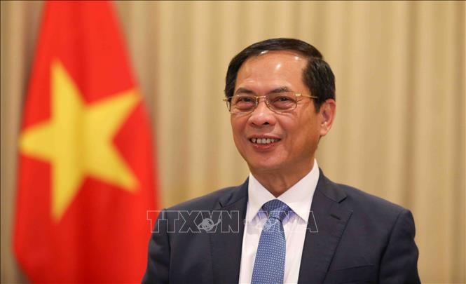 bo truong bui thanh son tra loi bao chi nga ve chinh sach doi ngoai cua viet nam hinh anh 1