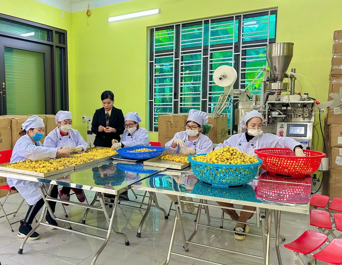Doanh nghiệp nhỏ trông chờ "cú hích" từ Nghị quyết 68