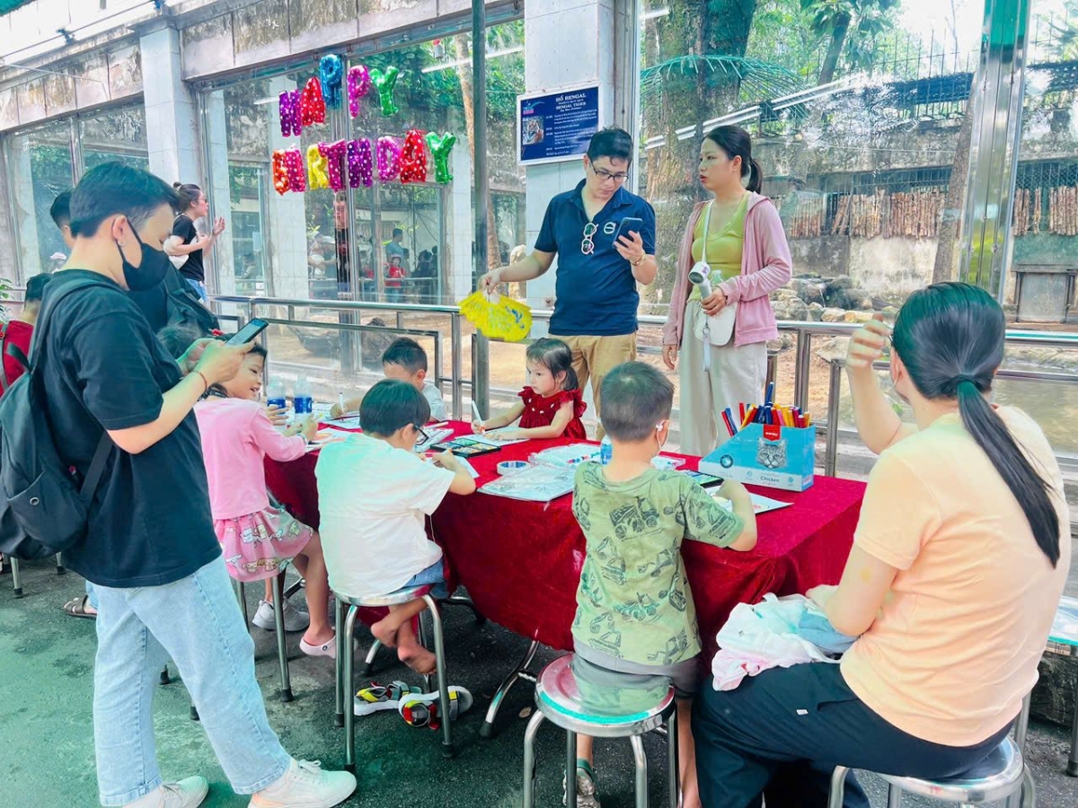 cặp hổ bengal song sinh bình dương được tổ chức sinh nhật hình ảnh 2 cap ho bengal song sinh binh duong duoc to chuc sinh nhat hinh anh 2