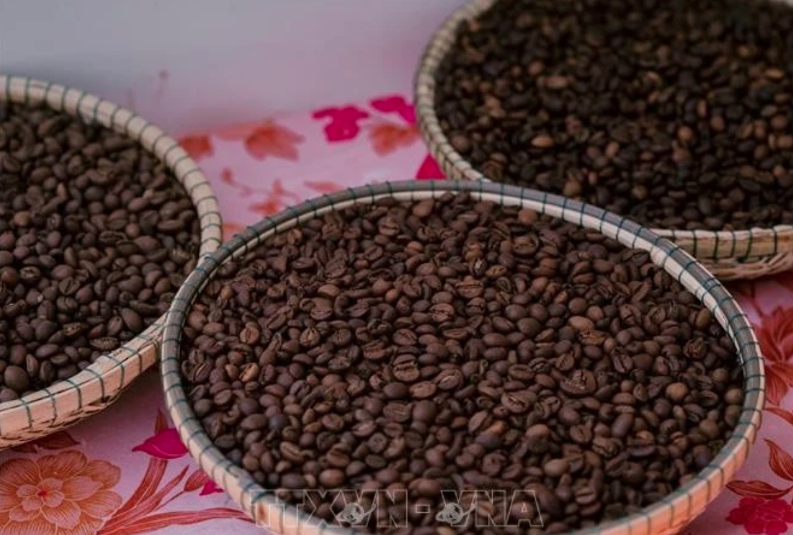 quality, branding, sustainability essential for vietnamese coffee to go global picture 1