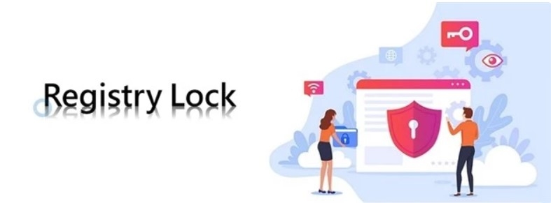 protecting .vn domain names from risk of illegal appropriation picture 1 protecting .vn domain names from risk of illegal appropriation picture 1