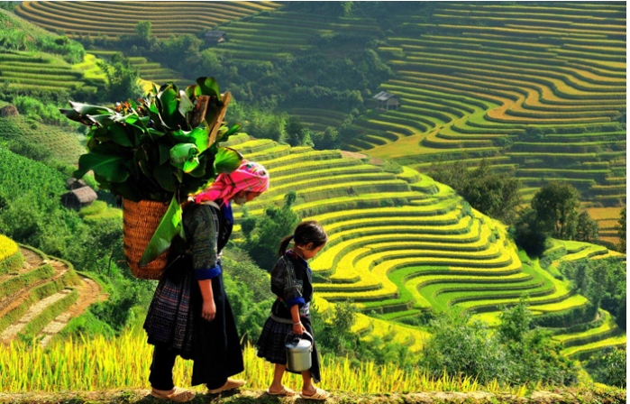 góp ý về tiêu chí phân định vùng đồng bào dtts và miền núi giai đoạn 2026-2030 hình ảnh 1 gop y ve tieu chi phan dinh vung dong bao dtts va mien nui giai doan 2026-2030 hinh anh 1