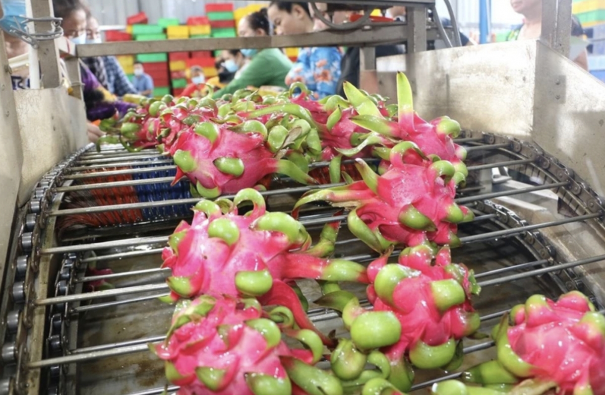 overseas vietnamese help vietnamese products go global picture 1