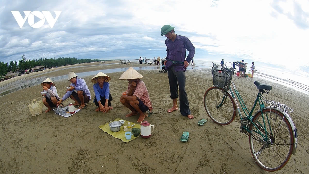 a glimpse of vibrant fishing life in central vietnam picture 15