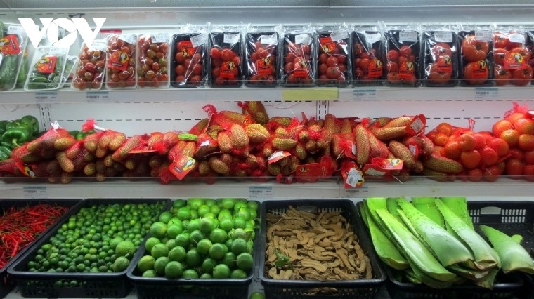vietnamese exporters turn to german market amid rising us tariffs picture 3 vietnamese exporters turn to german market amid rising us tariffs picture 3