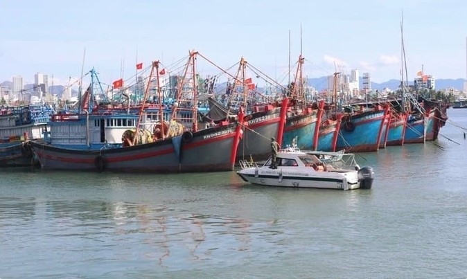 khanh hoa tightens control of fishing vessels at sea ports picture 1 khanh hoa tightens control of fishing vessels at sea ports picture 1