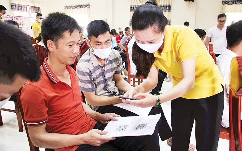 Mang cả vườn nhà lên mạng xã hội - chuyện nhỏ trong chuyển đổi số ở Lạng Sơn
