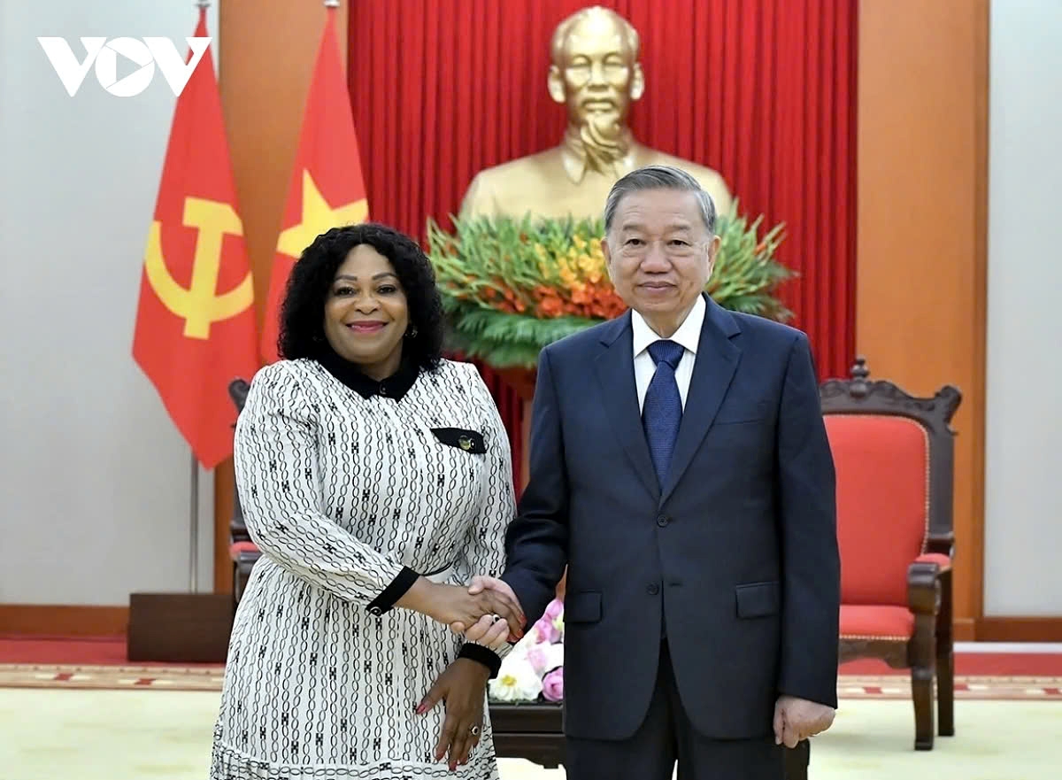 party leader to lam receives african national congress official in hanoi picture 1 party leader to lam receives african national congress official in hanoi picture 1
