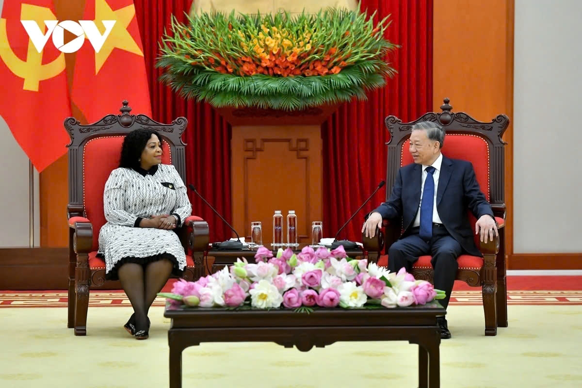 party leader to lam receives african national congress official in hanoi picture 2 party leader to lam receives african national congress official in hanoi picture 2