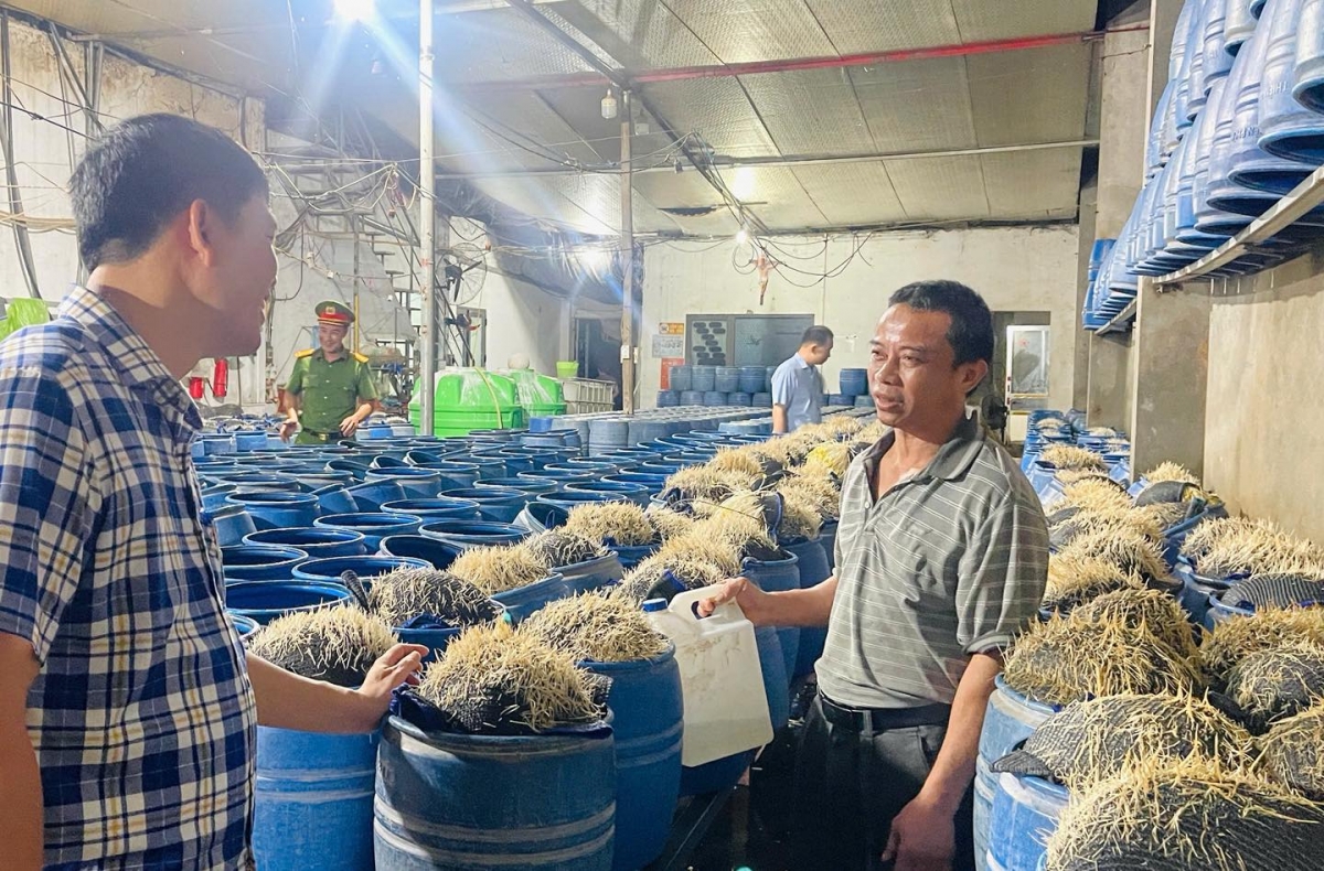 Nóng 24h: Chủ cơ sở sản xuất 348 tấn giá đỗ ủ hoá chất khai gì?