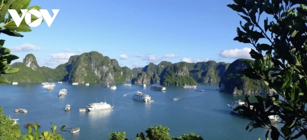 uk media hails thriving vietnam amid asian tourism boom picture 1 uk media hails thriving vietnam amid asian tourism boom picture 1