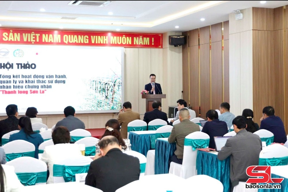 xây dựng thương hiệu thanh long sơn la hình ảnh 4 xay dung thuong hieu thanh long son la hinh anh 4