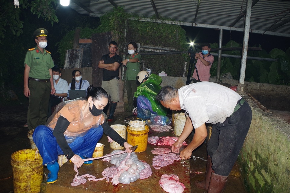ha nam tieu huy gan 3 tan thit lon nhiem virus tai co so giet mo trai phep hinh anh 2