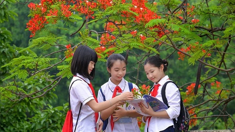 thủ tướng chỉ đạo 3 vấn đề nóng trong giáo dục hình ảnh 1 thu tuong chi dao 3 van de nong trong giao duc hinh anh 1