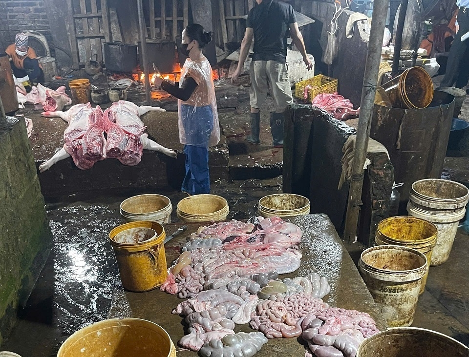 hà nam tiêu hủy gần 3 tấn thịt lợn nhiễm virus tại cơ sở giết mổ trái phép hình ảnh 3 ha nam tieu huy gan 3 tan thit lon nhiem virus tai co so giet mo trai phep hinh anh 3