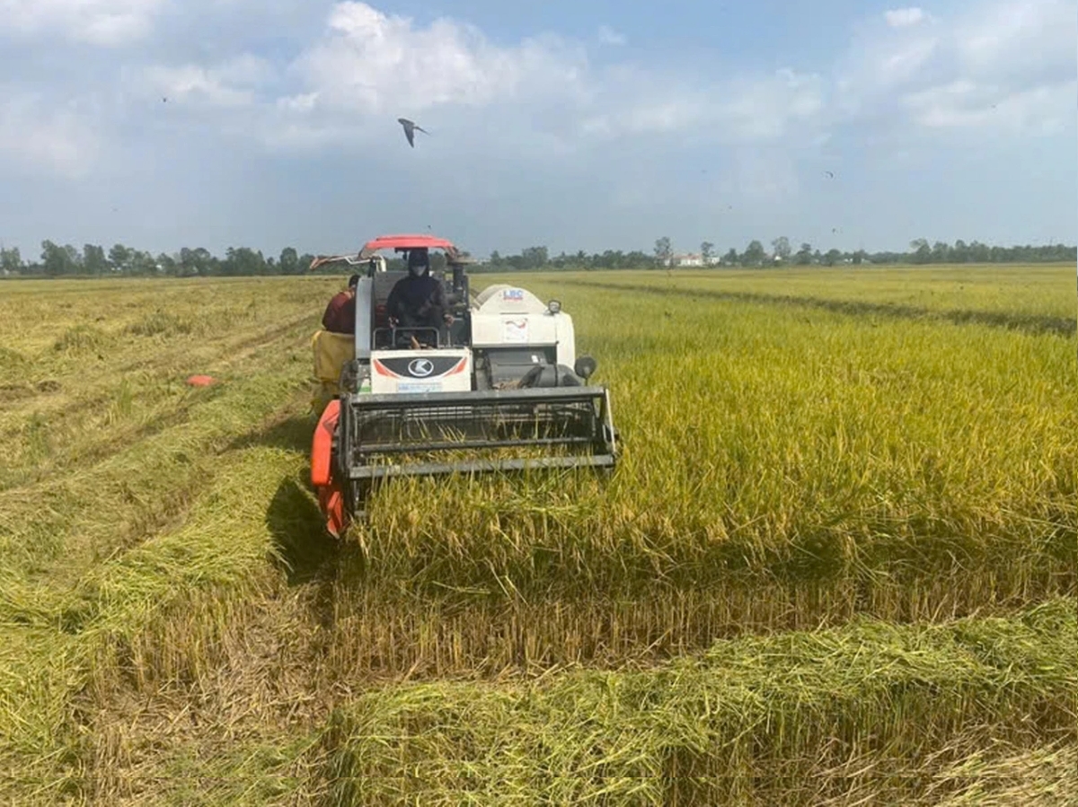 Chuyển đổi xanh – Xu thế tất yếu của doanh nghiệp nhỏ và vừa