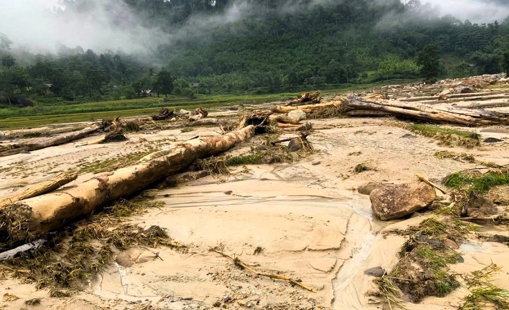 xa hanh dich, que phong, nghe an tan hoang sau lu quet hinh anh 9