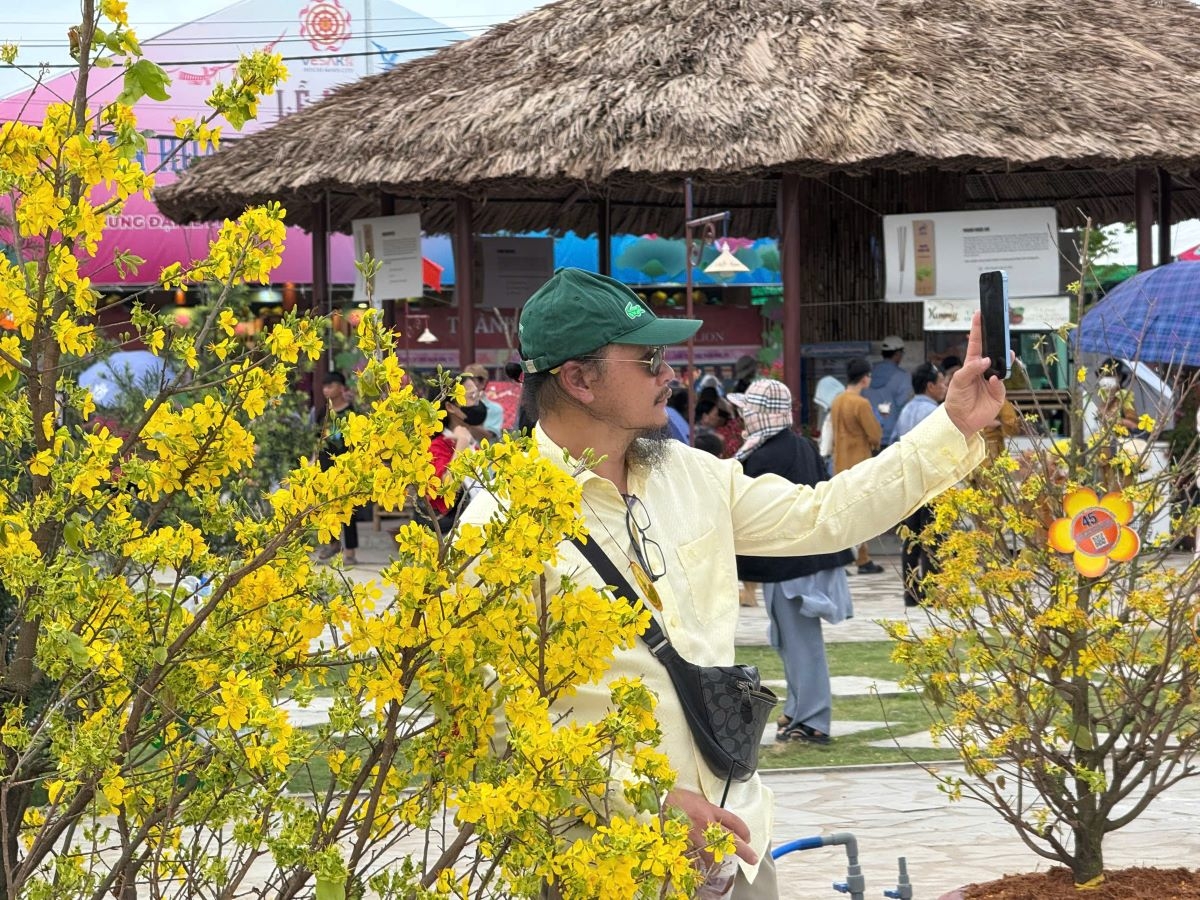 bất ngờ vườn mai nở rộ trong dịp Đại lễ vesak hình ảnh 1 bat ngo vuon mai no ro trong dip Dai le vesak hinh anh 1