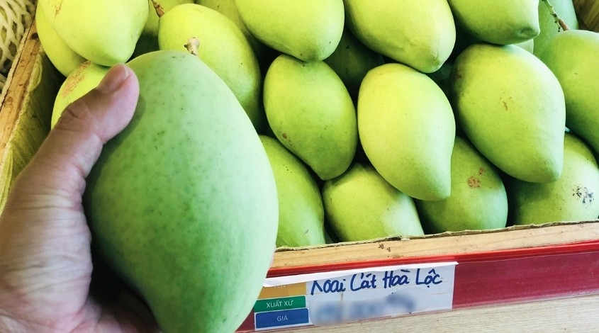 three vietnamese fruits named among southeast asia s top 26 picture 2 three vietnamese fruits named among southeast asia s top 26 picture 2