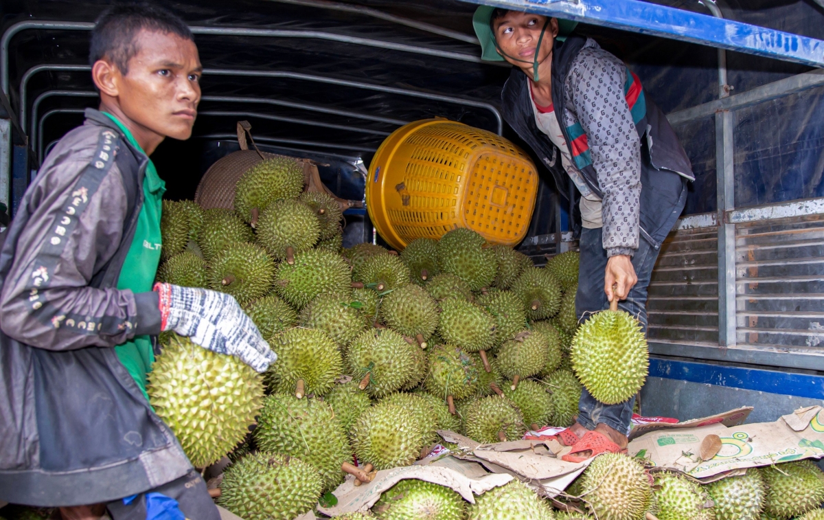 Đồng bào dân tộc thiểu số khánh hòa tự tin vươn lên nhờ chính sách đúng hình ảnh 2 Dong bao dan toc thieu so khanh hoa tu tin vuon len nho chinh sach dung hinh anh 2