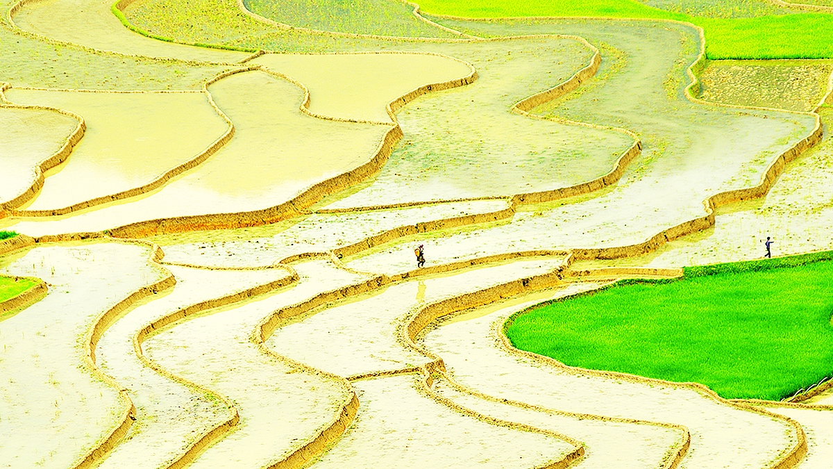 kham pha ruong bac thang mu cang chai mua nuoc do hinh anh 2