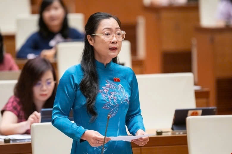 lawmakers agree on two-tier local government model in vietnam picture 2 lawmakers agree on two-tier local government model in vietnam picture 2