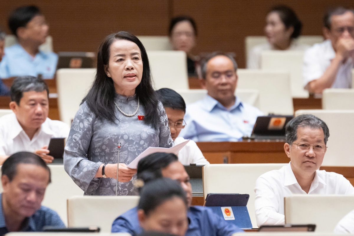 Đbqh không đồng tình bỏ quyền chất vấn chánh án tand, viện trưởng vksnd hình ảnh 1 Dbqh khong dong tinh bo quyen chat van chanh an tand, vien truong vksnd hinh anh 1