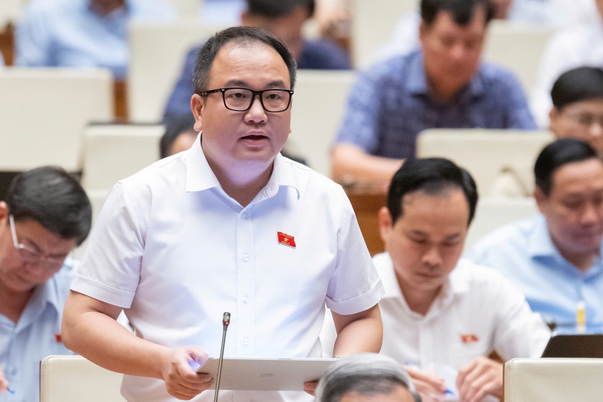 Đbqh không đồng tình bỏ quyền chất vấn chánh án tand, viện trưởng vksnd hình ảnh 2 Dbqh khong dong tinh bo quyen chat van chanh an tand, vien truong vksnd hinh anh 2