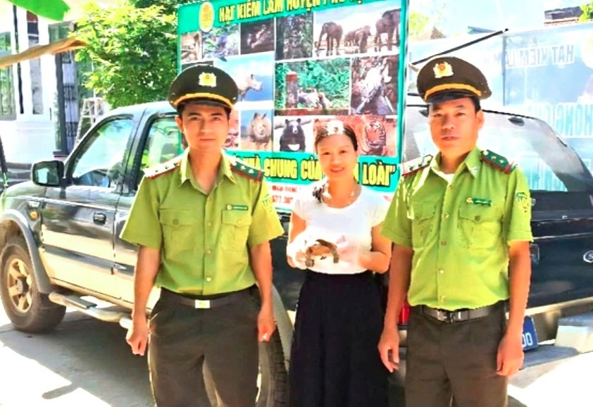 hue residents voluntarily hand over rare wildlife to forest rangers picture 1 hue residents voluntarily hand over rare wildlife to forest rangers picture 1