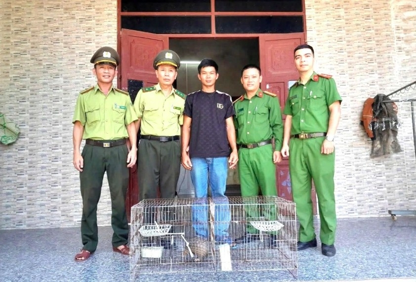 hue residents voluntarily hand over rare wildlife to forest rangers picture 2 hue residents voluntarily hand over rare wildlife to forest rangers picture 2