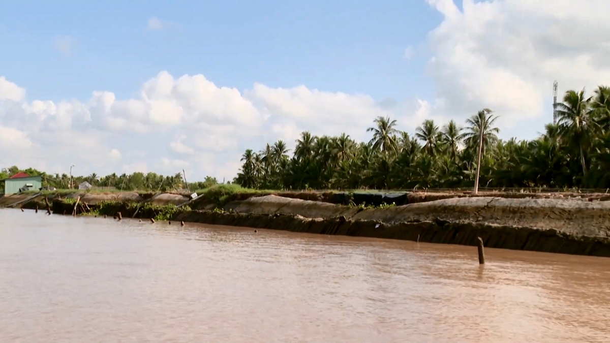 Sạt lở nghiêm trọng tại cửa sông Trà Cú, hàng chục hộ dân bị ảnh hưởng